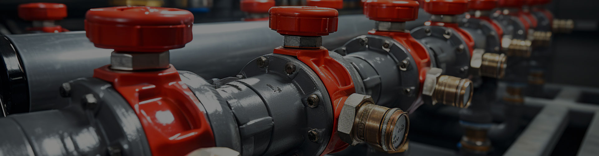 Weifang Xinli Import and Export Co., Ltd.